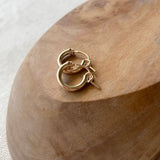 Huggie Hoops